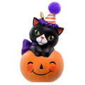 Spooksy™ Keepsake Halloween Ornament 2019 Tiny Black Cat,